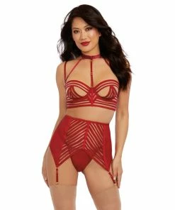 Dreamgirl International Sheer Striped Garterbelt Set With Removable Collar & Adjustable Straps