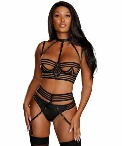 Dreamgirl International Sheer Striped Elastic Strappy Underwire Bra & Garter Belt Set