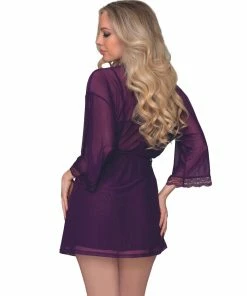 Dreamgirl International What's New Stretch Mesh Chemise & Robe Set With Scalloped Lace Trim Throughout